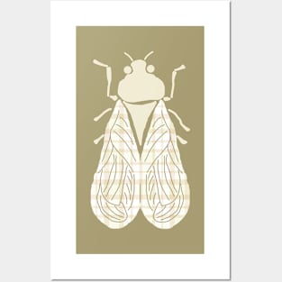 Plaid-Winged Cicada Posters and Art